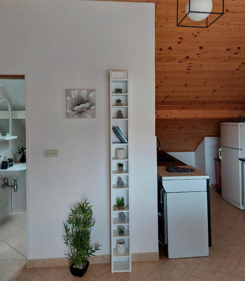 Apartmani Mare Šibenik Dış mekan fotoğraf